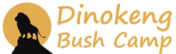 Dinokeng Bush Camp